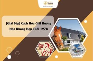 [Giải Đáp] Cách Hóa Giải Hướng Nhà Không Hợp Tuổi 1978