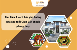 Tìm hiểu 4 cách hóa giải hướng nhà xấu tuổi Giáp Dần chuẩn phong thuỷ