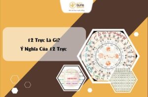 12 Trực Là Gì? Ý Nghĩa Của 12 Trực