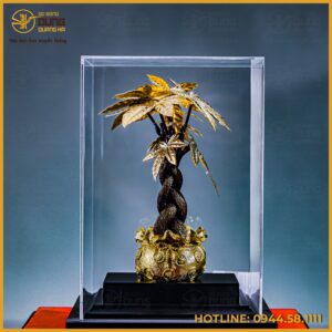 Chậu cây gốc xoắn bằng đồng đặt hộp mica